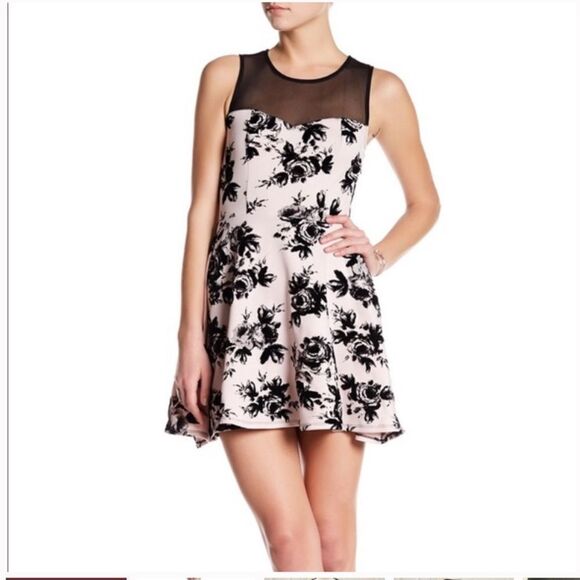 TRIXXI Floral Pink/Black Mesh Shoulder Dress Sz 2X - Picture 1 of 8